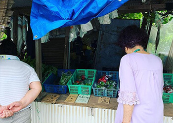 野菜直売所の写真